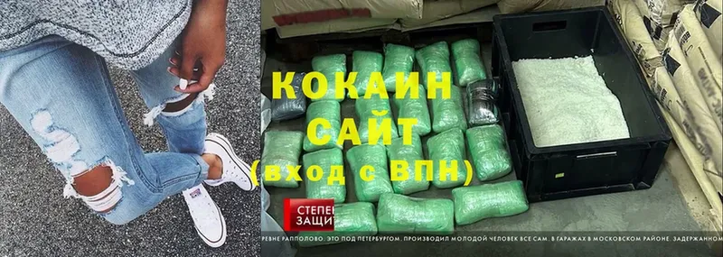 Cocaine Fish Scale  ОМГ ОМГ ONION  Красноперекопск 