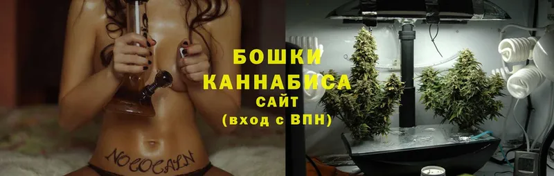 как найти наркотики  Красноперекопск  Бошки Шишки OG Kush 